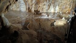 a605e23c-4f8e-4247-80aa-a4e5ed3ec282