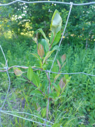 527916aa-90e8-4b57-89be-cb894fe3a5ee