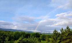 bc50ae14-d2d5-4fd3-b33e-9428c0c14ef5