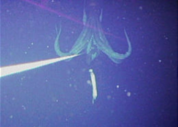 f6084408-078e-4fa9-8e3b-5b5e496f36ad