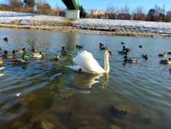 2b0a0ab7-3bfe-4a65-af25-ef3f98262280