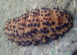 a1efec4a-5d90-4d2e-985b-ed54fe29afc4