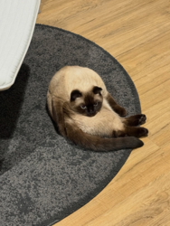 510bd452-821f-47ad-93db-d7d09708e675