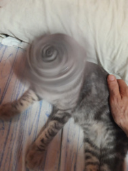 75133ac9-d5f4-42ea-bcb9-cd947971903a