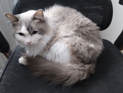 a3aa63b6-fc80-4517-a726-d08f31a57b10