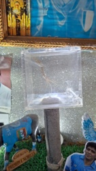 c98284ed-7d32-4b07-9cf8-b25af905e536