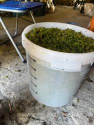 29a577bb-2e84-4e6d-a855-0b4db927e286