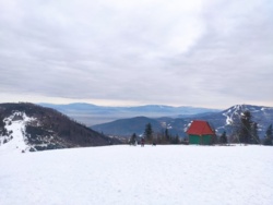 94a7a9c8-53a4-4a75-a1f4-0547ee97093e