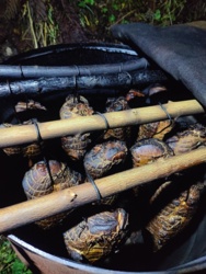 a8209f4a-49b6-4b3d-a93b-a95082e8296b