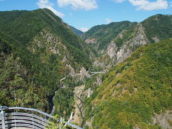 28fcb498-1aad-420f-becb-77f4a52c4b18