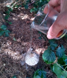 452e249d-068c-4f86-8dd6-b72fde894a0e