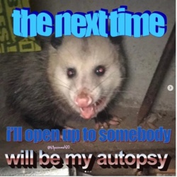 a98d3bcb-640f-49ab-8d9d-fb6f91b50b40