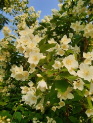 35ef2c63-a75d-4393-831e-7c964da70237