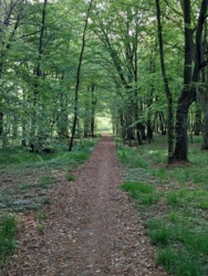 7002a541-01c6-43f5-80de-fdf8e5a4deaf