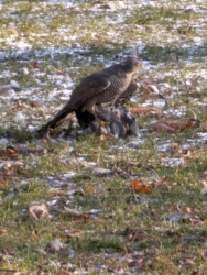 37115e65-1427-44f0-ae50-71fe7be9553b