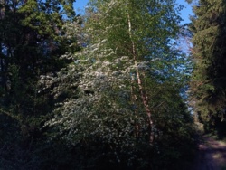 d64be555-e92d-4abb-9d8d-d345bf259c0b