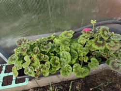 8be313a6-c129-4081-9b64-a1b5964c3dbe