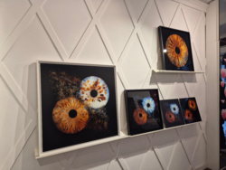 b22fd88d-7a66-430b-a5d2-ef3446322798