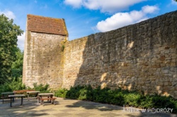 2bfcd63b-44b9-48ea-a00b-9e4f35036f69