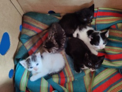 57212074-2964-4f6e-83c8-ef443b0440e7