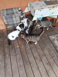 e32b0201-efa1-49da-9e43-543262217a5b