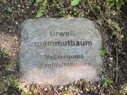 8e6eabab-b388-43c2-bdfd-06033c3d63e8