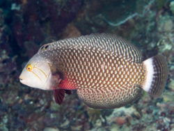 7bce5f58-6d7f-4ff4-af88-80771ee47d85