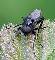 782bafe8-1c59-4607-be8d-d25207e30aec