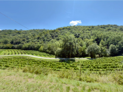 3a39d0fe-8844-4001-b06a-9e5a3312c7d0