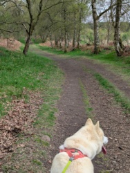 a0f4b248-b9a3-43ff-b5d6-fa20a1dbf8a0