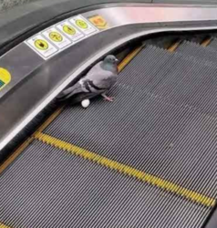 97aa00e1-6668-4eb4-bacf-213371b250f5