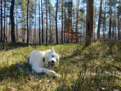 8f1af82c-30b8-4165-bb30-a838d19ed589