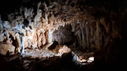 a0fd4110-2fbd-481d-a512-6c382dcbe66c