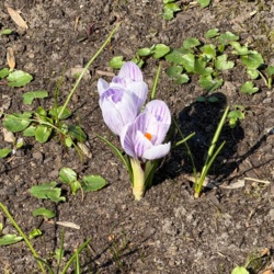 7373e068-c3f6-4bed-acda-0813e5e09064