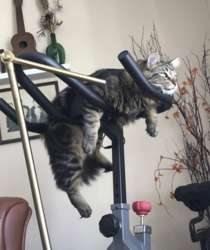 be6f8573-280e-44a8-8a4a-550dc757581e