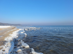 41dff6e6-47ac-4afb-92c9-c12628954e8c