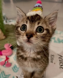 d2e0ec7b-4cdd-4645-b914-d6b31aff5397