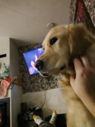 03b91b1e-0b86-4a38-b5c4-6054ab77b86a