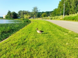 b6424842-cf7e-4f66-8ecb-2937bdad93a7