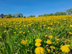 cd3152d7-5697-4871-8f8e-282aa13b30e0