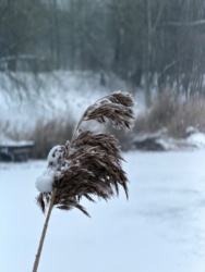 b1ca150f-3a9f-49c0-818d-c0b9e41892e1