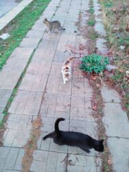 4a0a0527-af01-482f-8913-5e36c83f405a