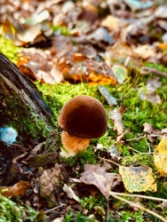 a87e1033-d82d-4c1c-b935-d76bfb5c74bc