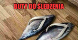 4943bf3a-97e1-4281-a18e-f00d83acbcb7