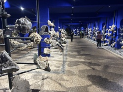 52740aff-42cf-4861-a8f9-b895a1bc5db3