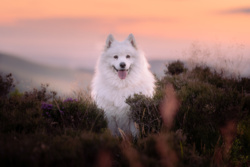 05bf0b2b-0077-4eca-87d3-2cd0f15c8c6b