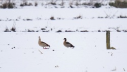 9ddac647-5fd7-44b3-a362-91119c6d3dc0