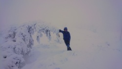 c736e2de-6ded-4424-bd45-28bd465e3026