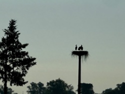 7cd6ecb0-ef3e-4321-acc2-abc6fb437aa7