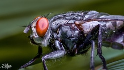 e21b03fc-83bb-48a9-a366-e7c4a6125573